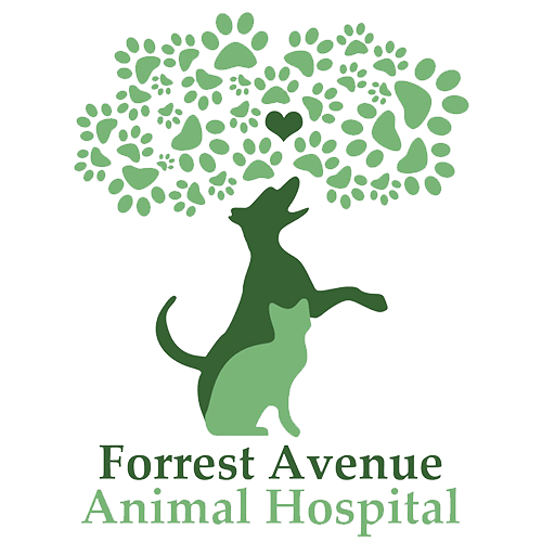 Forrest Avenue Animal Hospital